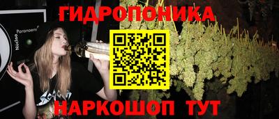 PSILOCYBIN Краснодар