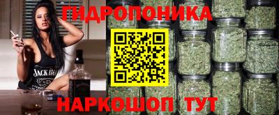PSILOCYBIN Краснодар