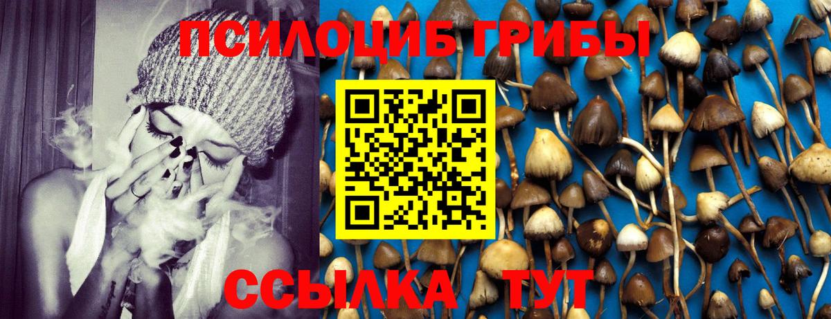Галлюциногенные грибы GOLDEN TEACHER  Вход с VPN  Усть-Илимск 
